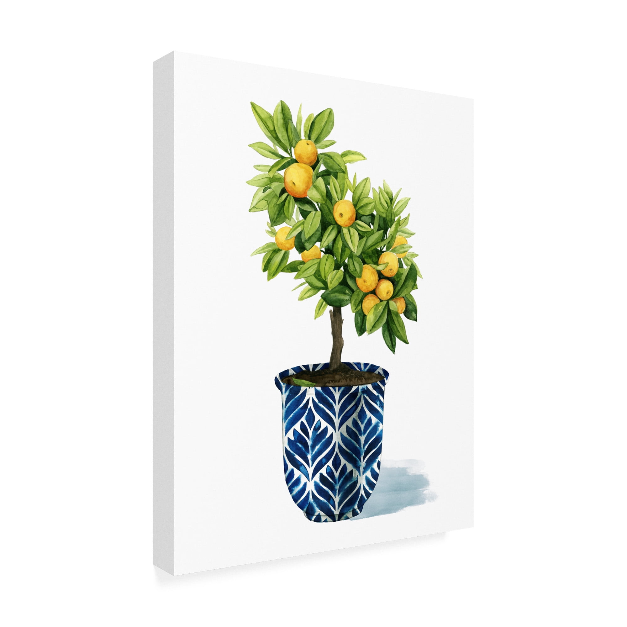 Trademark Fine Art 'Fruit Tree I' Canvas Art by Grace Popp