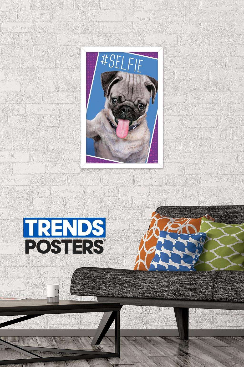 Keith Kimberlin - Kittens - Pug - Selfie Wall Poster, 14.725" x 22.375", Framed