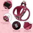 thumbnail image 3 of BELLA & PAL Puppy Harness and Leash Set,Reflective Adjustable Dog Harness for Small Dogs No Pull,Step in Soft Mesh Harness for Small and Medium Dogs,Pink Leopard,S, 3 of 6