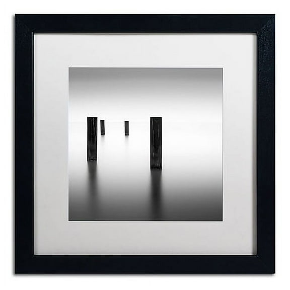 Trademark Fine Art "Lucid" Canvas Art by Dave MacVicar, White Matte, Black Frame