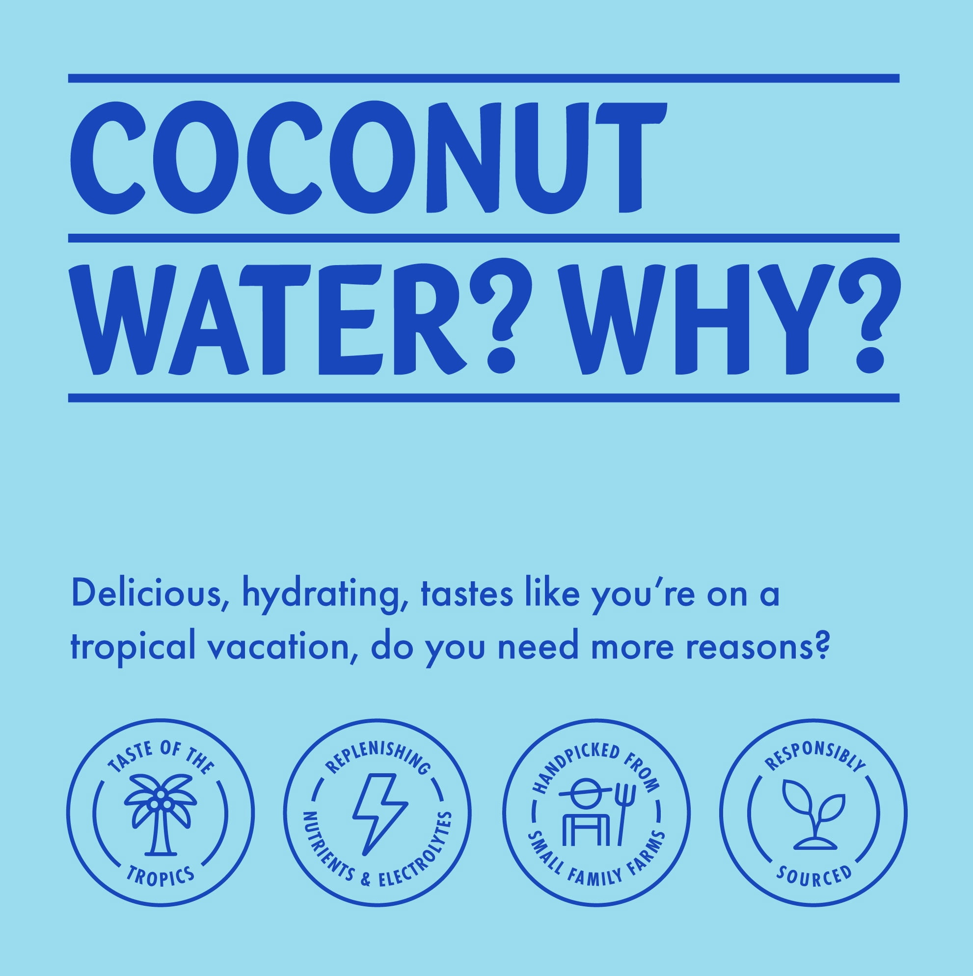 Vita Coco Extra Coconut | Coconut Water | Non-GMO | Refreshing Extra Coconutty Taste | Natural Electrolytes | 1L Tetra