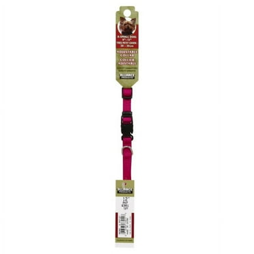 Retriever Adjustable Dog Collar with Plastic Buckle, 3/8 x 8-12in, Pink Flamingo