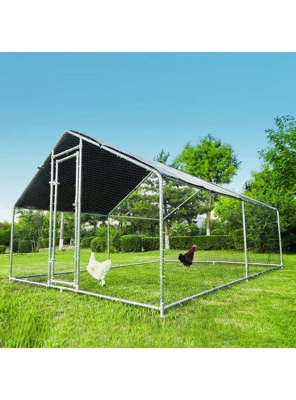 Large Chicken Coops in Chicken Coops