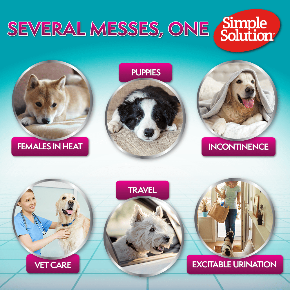 Simple Solution Pañales para perros desechables, 12 unidades, XL