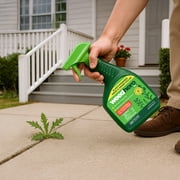 BugMD Weed Hero Plant-Powered Pet-Safe Weed & Grass Killer Spray, Ready-to-Use, 24 fl oz
