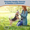 thumbnail image 3 of Cable de amarre pesado Leash Four Paws, 4,5 m, 3 of 7