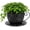 Black, variant on 12 Inch Antique Metal Teacup Planter, Rustic Iron Teapot Flower Pot with Floral Cutouts for Garden Patio Decor(Blue)