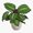1pcs, variant on Calathea Medallion Er, Phone Decal Water Bottle Stickers Car Decals, Funny Birthday Gift