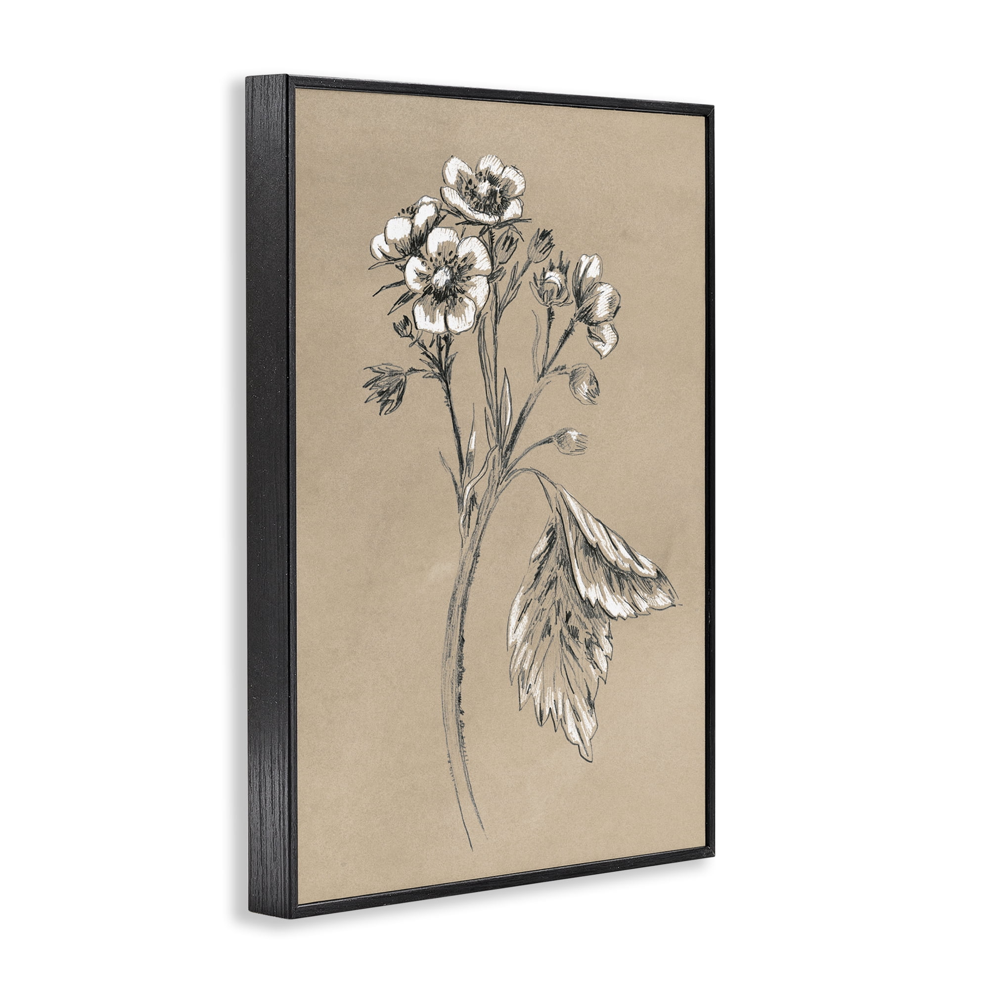 Stupell Industries Flower Sprig Sketch Botanical & Floral Drawing Black Framed Art Print Wall Art, 12 x 18