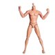 thumbnail image 3 of sweethay Modelo masculino a escala 1:6, juguetes coleccionables realistas flexibles, accesorios de regalos para niños, muñeco esculpido ligero Kits de construcción modelo, 3 of 6