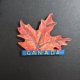 thumbnail image 2 of Imán para nevera con forma de hoja de arce de Canadá, resina 3D, recuerdo canadiense, 2 of 2
