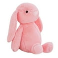 thumbnail image 5 of Baby Bunny Rabbit Plush Toy Baby Bunny Soft Stuffed Animal Baby Bunny Toy Kids Gift, 5 of 5
