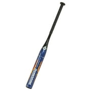DeMarini Nitro USSSA Baseball Bat, 31" (-10)