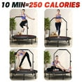thumbnail image 4 of Rebounder Trampoline for Adults - 40" Foldable Mini Trampoline Fitness Rebounder with Adjustable U-Bar Handle, Max Load 350lbs,Stable Quiet Indoor/Outdoor Exercise Equipment, 4 of 8