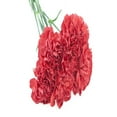 thumbnail image 4 of KaBloom :6 Red Carnations, Next-Day Delivery, Gift for Every Occasion., 4 of 5