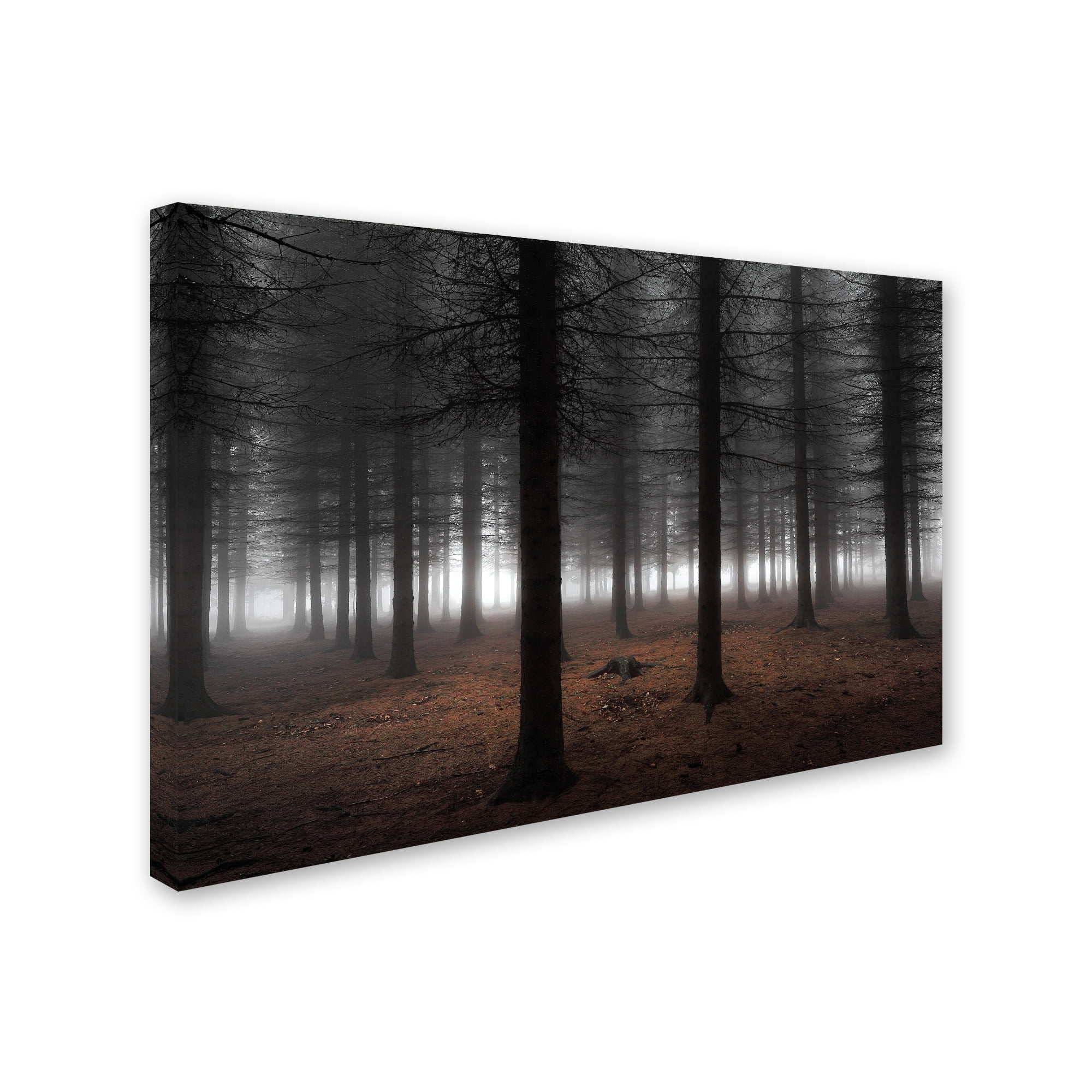 Dragisa Petrovic 'Silence' Canvas Art
