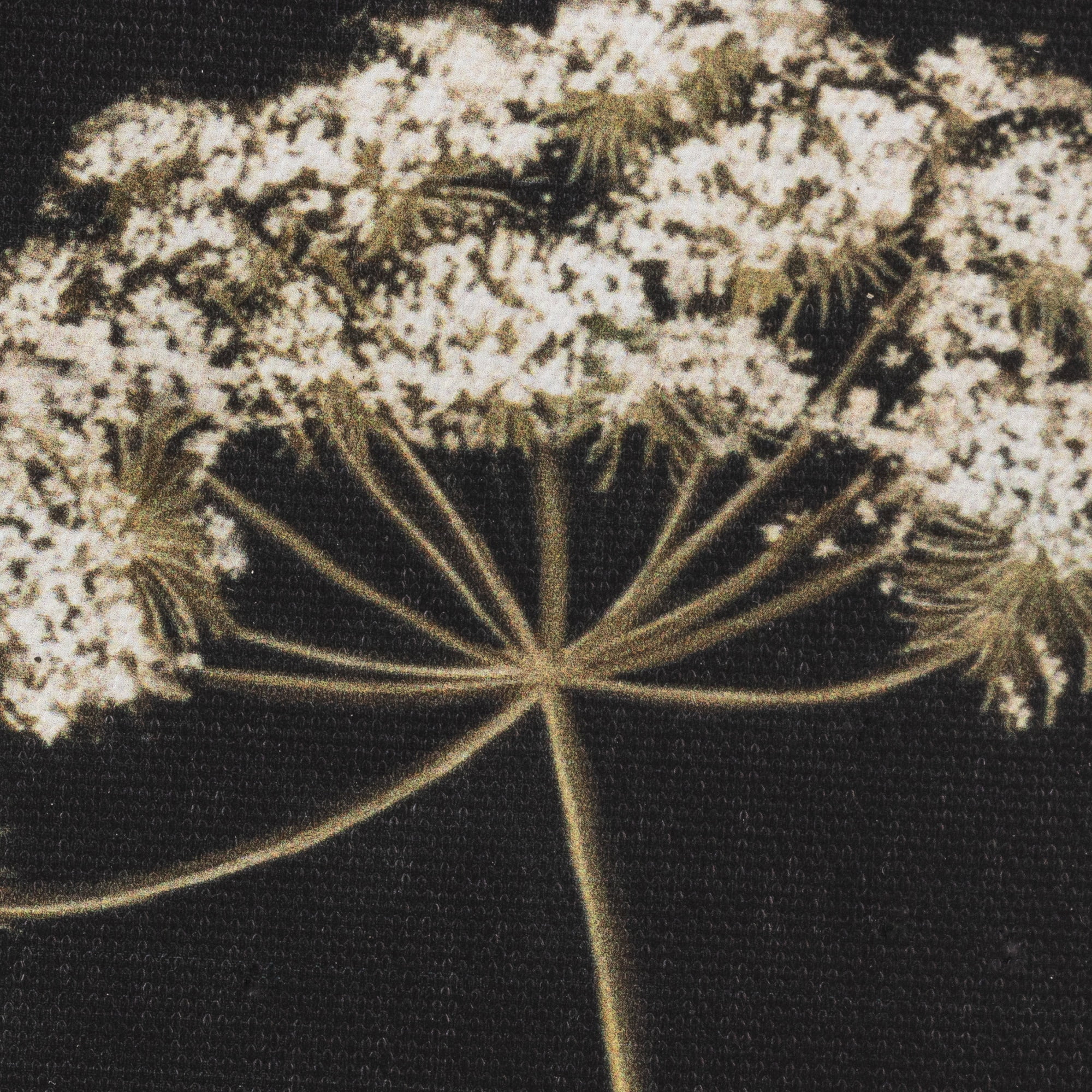 My Texas House Spring Art Wht botanical on blk Framed Canvas w/Velvet Hanger 6x8
