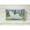 thumbnail image 2 of Carolines Treasures SS8453PW1216 Maltese Decorative Canvas Fabric Pillow, Large, Multicolor, 2 of 3