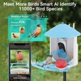 thumbnail image 3 of OYAJIA Smart Bird Feeder with Camera+Solar Panel 32G SD Card 6-in-1 Perch, 110°View Auto Capture Bird Videos 4MP, AI Identify 10000+ Species Bird House for Outside, Gift for Bird Watching Lover, 3 of 9