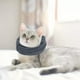 thumbnail image 2 of Perro Snood Ear Protector de Perro Lindo Perro Cuello Headwear Perro Orejas S jinwen  Cubierta de orejas de mascotas, 2 of 8