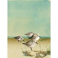 thumbnail image 2 of Escobedo, Mary 15x18 White Modern Wood Framed Museum Art Print Titled - Sandpipers By The Sea, 2 of 4
