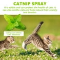 thumbnail image 3 of Catnip Spray For Cats, Herbal Cat Joy Spray, Herbal Cat Joy Celery Pets, Cat Scratching Spray Mist, Cat Anxiety Relief, Cat Calming Spray, 3 of 8