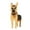 A, variant on LYINGF Garden Flower Pot Dog Poodle Chihuahua Animal Planters Flower Pot Dog Planter Storage Containers Dog Planters Garden Pet Dog Storage Pots Decorative Ornaments Animal Shaped 1PCS