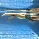 thumbnail image 4 of Ropa interior Troncos de natación para hombres de secado rápido Ropa interior deportiva Calzoncillos Meterk Ropa interior, 4 of 7