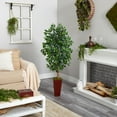 thumbnail image 4 of Nearly Natural 5' Ficus Artificial Tree in Bamboo Planter, 4 of 4