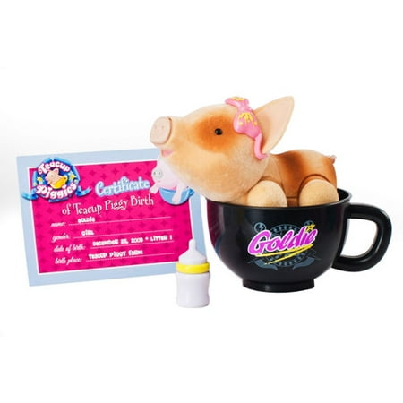 Teacup Piggy Set, Goldie