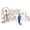 Gray, variant on XJD 12 in 1 Toddler Slide and Swing Set - Baby Slide for Toddlers 1-3, Indoor Outdoor Toddler Playset Playground, Blue & Gray