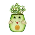 thumbnail image 4 of Ovzne Succulent Flowerpot Personalized Desktop Fruit Shaped Resin Flowerpot On Clearance, 4 of 8