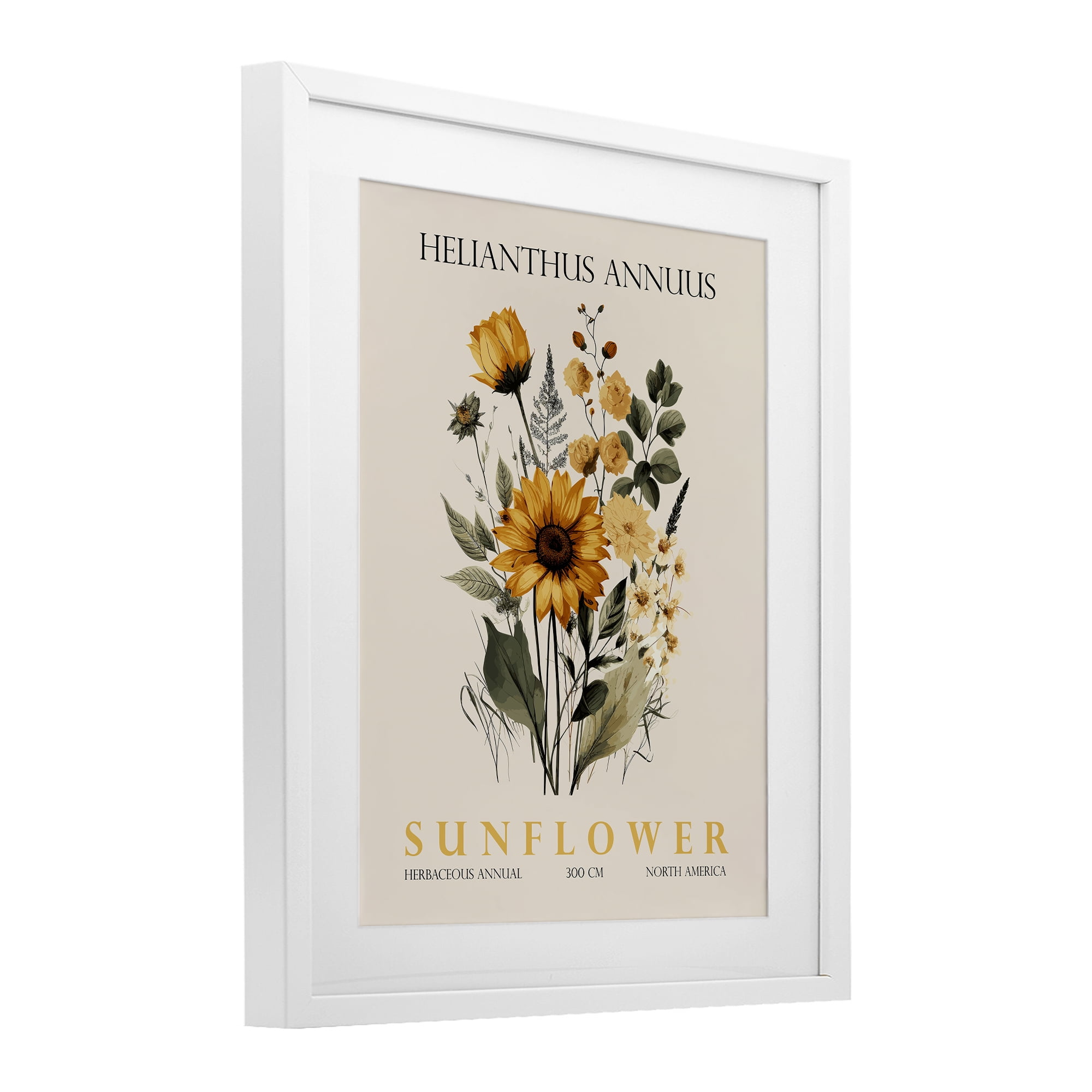 Stupell Industries Natural Sunflower Bundle White Framed Print Under Glass, design by Christopher Giampietro