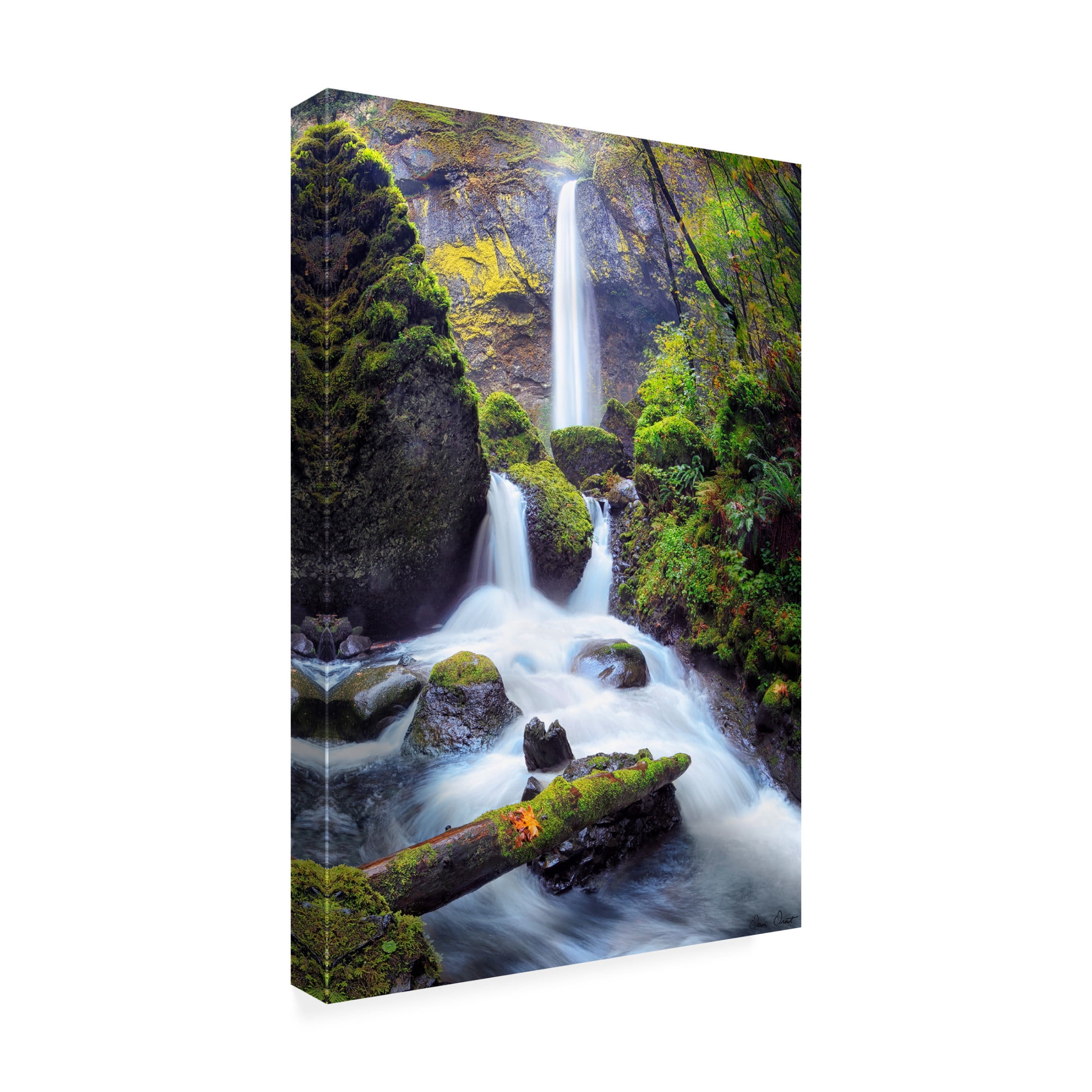 Trademark Fine Art David Drost Rapid Waterfall I Canvas Wall Art