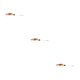 thumbnail image 3 of Eigraketly 10 piezas de señuelos de pesca falsos, cebos artificiales vivos, atracción portátil, equipo personalizado, para exteriores, cabeza Type1 NO1 Eigraketly CBP501982, 3 of 6