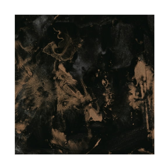 Trademark Fine Art June Erica Vess Onyx Nebula II Canvas Wall Art