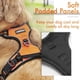 thumbnail image 4 of Rabbitgoo Arnés para Perros, Arnés para Mascotas Sin Tirones con 2 Clips para Correa, Chaleco Acolchado Suave Ajustable para Perros, Chaleco Oxford Reflectante para Mascotas sin Estrangulamiento con M, 4 of 4