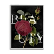 Stupell Industries Beauty Text over Vintage Red Thorned Rose Grey Framed, 11 x 14, Design by Daphne Polselli