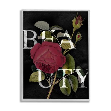 Stupell Industries Beauty Text over Vintage Red Thorned Rose Grey Framed, 11 x 14, Design by Daphne Polselli