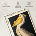 thumbnail image 6 of Elephant Stock American White Pelican From Birds Of America Wall Art - Vertical Canvas Wall Art - Living Room Wall Decor - Animal Canvas - Gray And Beige Decor By John James Audubon - 20" x 30", 6 of 8