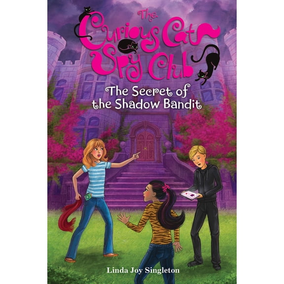 Pre-Owned The Secret of the Shadow Bandit: Volume 4 (Hardcover) 0807513857 9780807513859