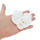 thumbnail image 4 of Ofertas Únicas 2 Pcs Clip de Pico de Pato Phalaenopsis Clips de Pelo de Perlas Falsas para Mujeres Blancas, 4 of 5