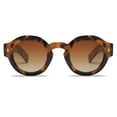 thumbnail image 1 of Gafas de Sol VANLINKER Vintage Redondas Polarizadas VL9743 C2, 1 of 5