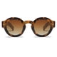 thumbnail image 1 of Gafas de Sol VANLINKER Vintage Redondas Polarizadas VL9743 C2, 1 of 5
