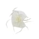 thumbnail image 1 of Tocado de malla Minnieouse para mujer Beige AP018859-04, 1 of 6