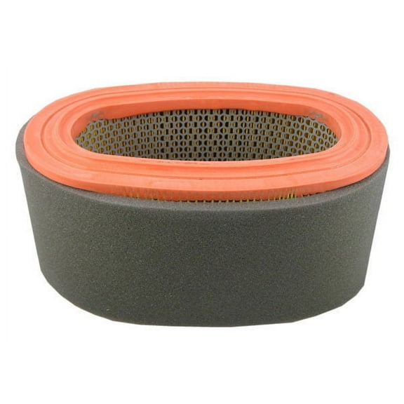 Pentius PAB7438 Pentius Filter Fits select: 1994-1997 FORD F350, 1994-1996 FORD F250