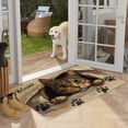 thumbnail image 4 of Funny Coir Doormat Welcome Sitting Cute Cat Welcome Front Porch Decor Mats for The Entrance, Non Slip Outdoor Doormat(20 x 32 in), 4 of 6