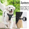 thumbnail image 4 of No-pull Dog Harness Padded Adjustable Pet Vest Harness For Large Dogs Training Or Walking, 4 of 5