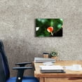 thumbnail image 4 of Epic Graffiti 'Fungus 2' by Dana Brett Munach, Canvas Wall Art, 18"x12", 4 of 8