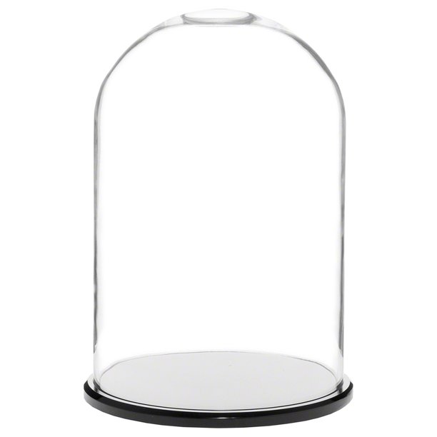 Plymor 8" x 12" Glass Display Dome Cloche (Black Acrylic Base)